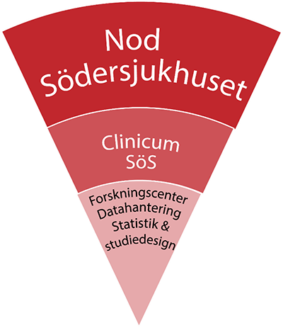 Clinicum Sös_tårtbit_400 px.png
