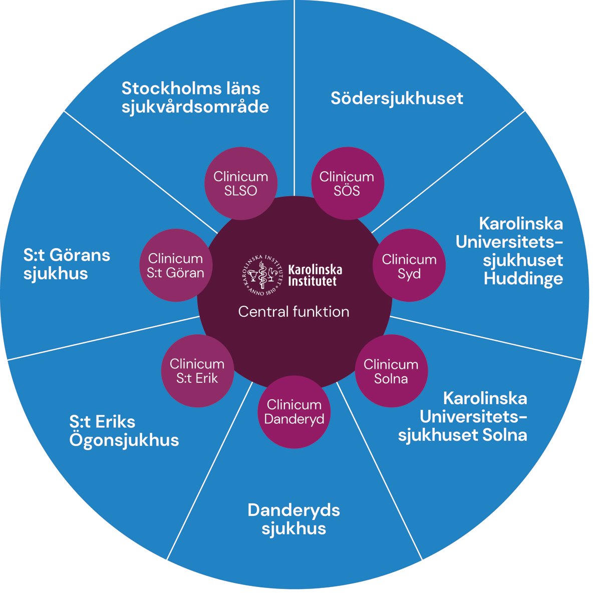 cirkeldiagram i främst blått över Ki Clinicums noder
