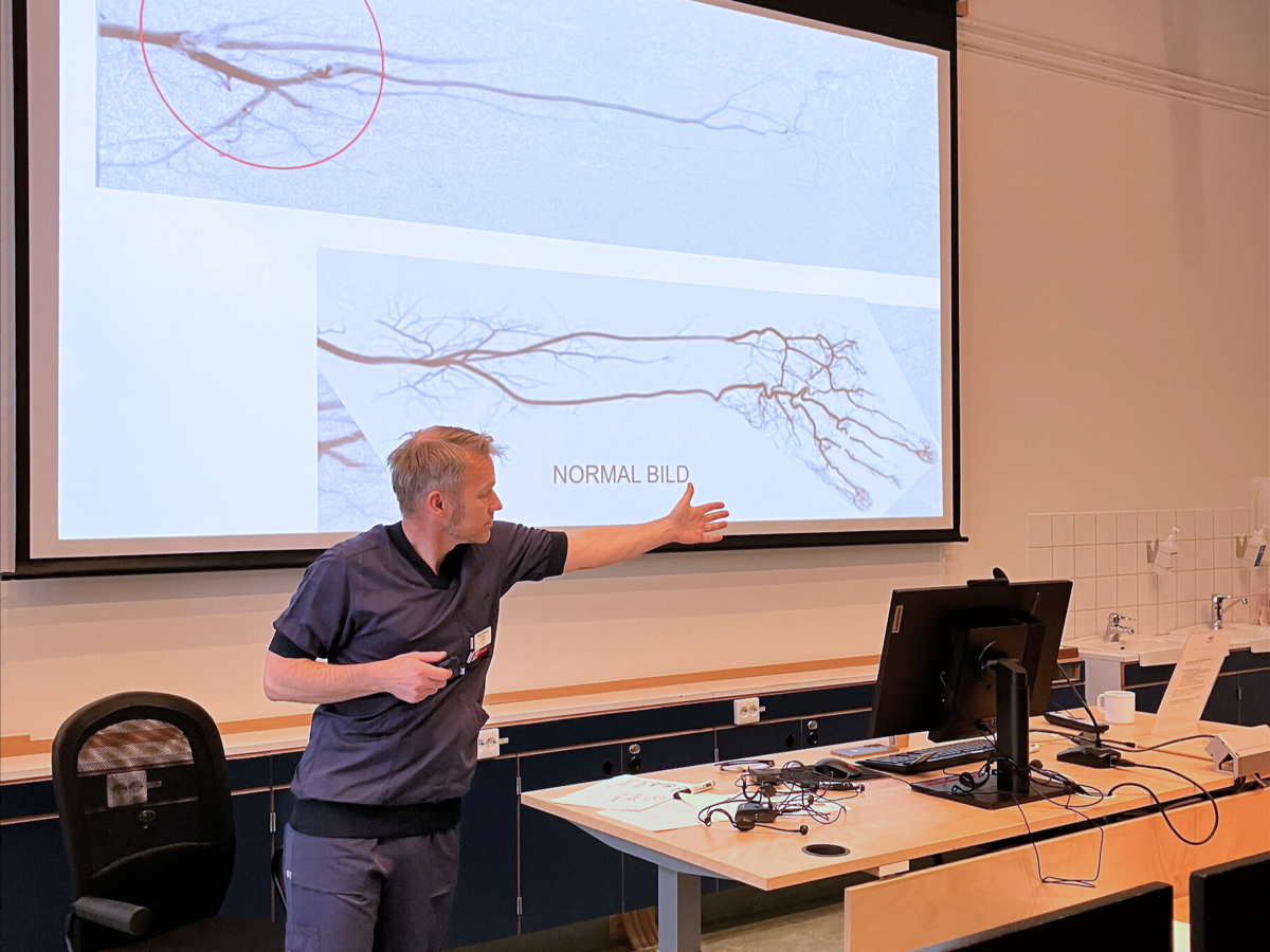 Läkare föreläser och pekar på en PowerPoint