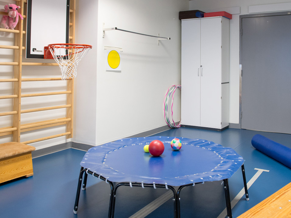 Bild på gympasal med studsmatta, basketkorg, bänk och plint