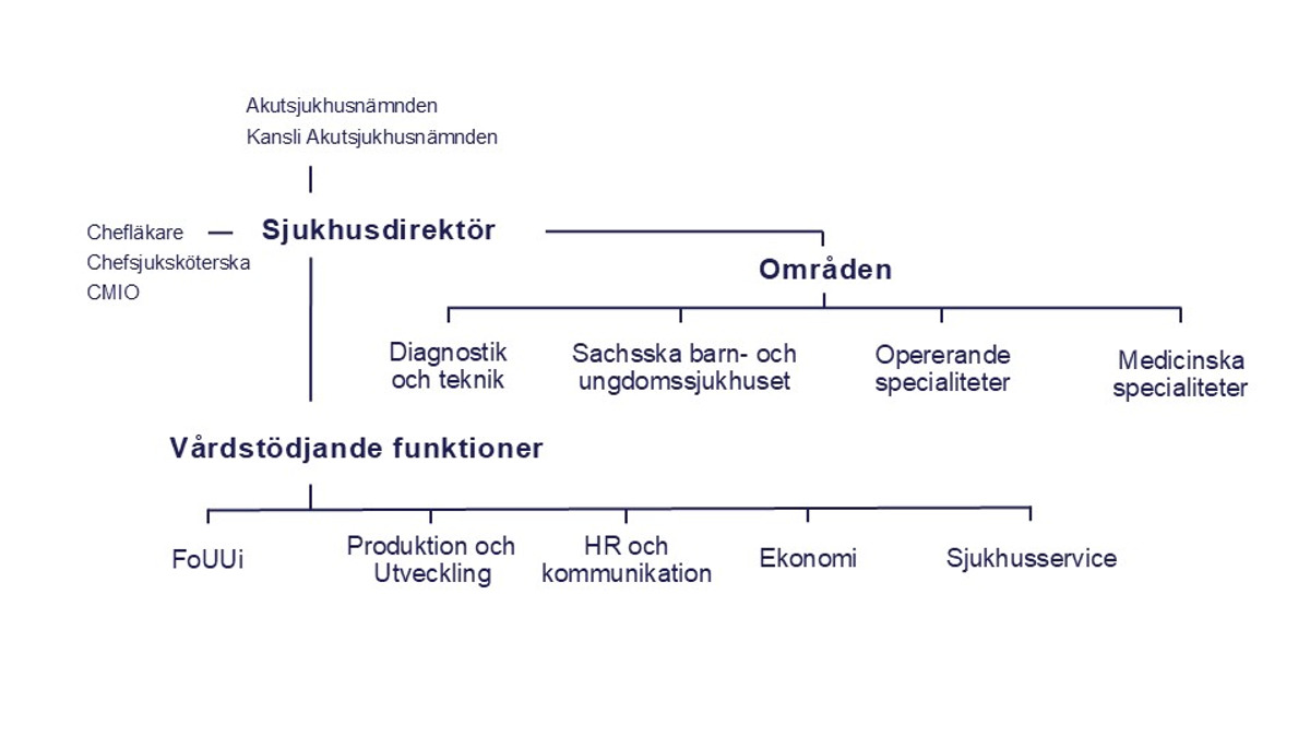 organisationsskiss Södersjukhuset med sjukhusdirektör, områden och vårdstöjdande insatser