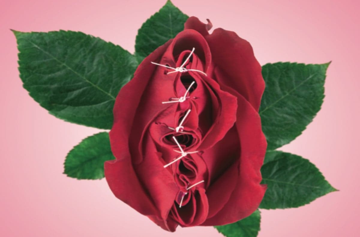illustration röd ros som är ihopsydd med  vit träd gröna blad, rosa bakgrund 