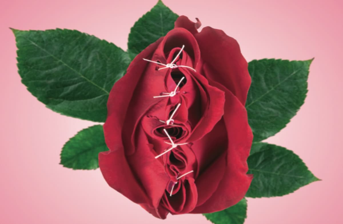 illustration röd ros som är ihopsydd med  vit träd gröna blad, rosa bakgrund 