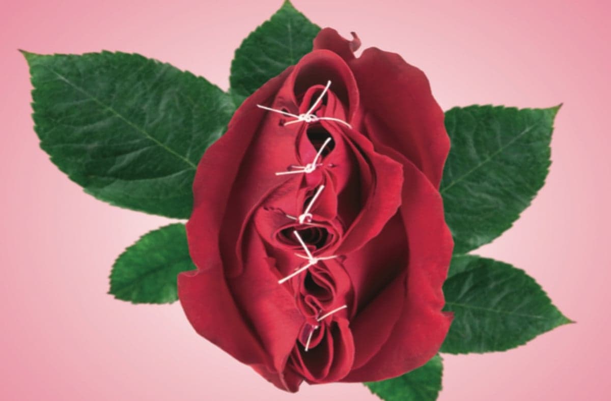 illustration röd ros som är ihopsydd med  vit träd gröna blad, rosa bakgrund 