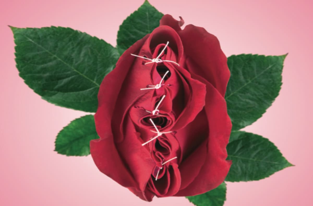 illustration röd ros som är ihopsydd med  vit träd gröna blad, rosa bakgrund 
