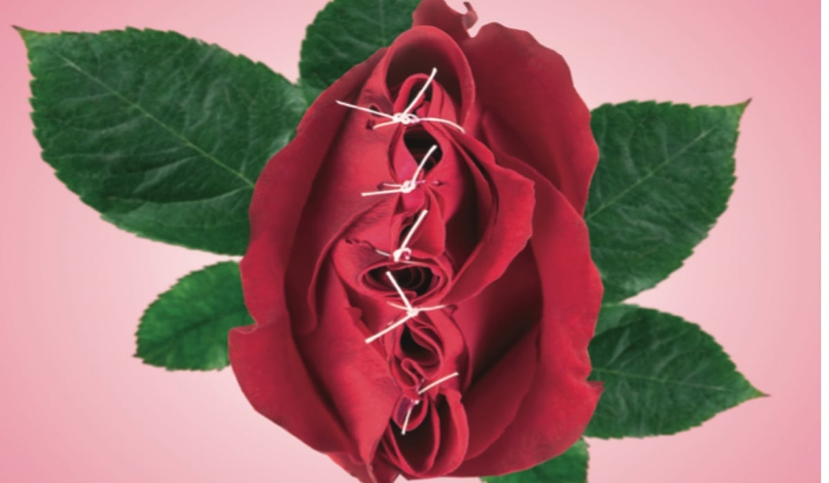 illustration röd ros som är ihopsydd med  vit träd gröna blad, rosa bakgrund 