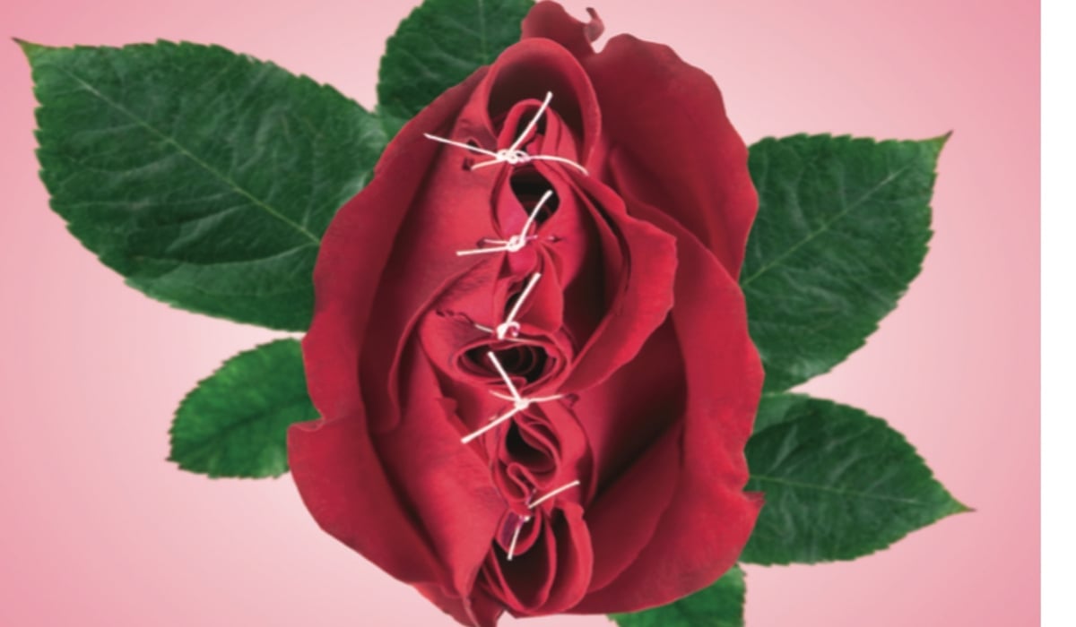 illustration röd ros som är ihopsydd med  vit träd gröna blad, rosa bakgrund 