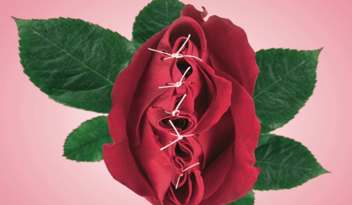 illustration röd ros som är ihopsydd med  vit träd gröna blad, rosa bakgrund 