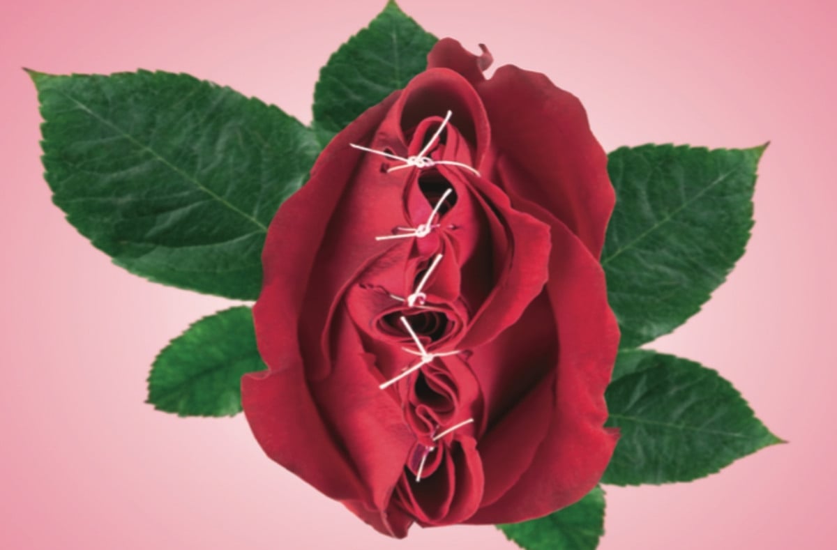 illustration röd ros som är ihopsydd med  vit träd gröna blad, rosa bakgrund