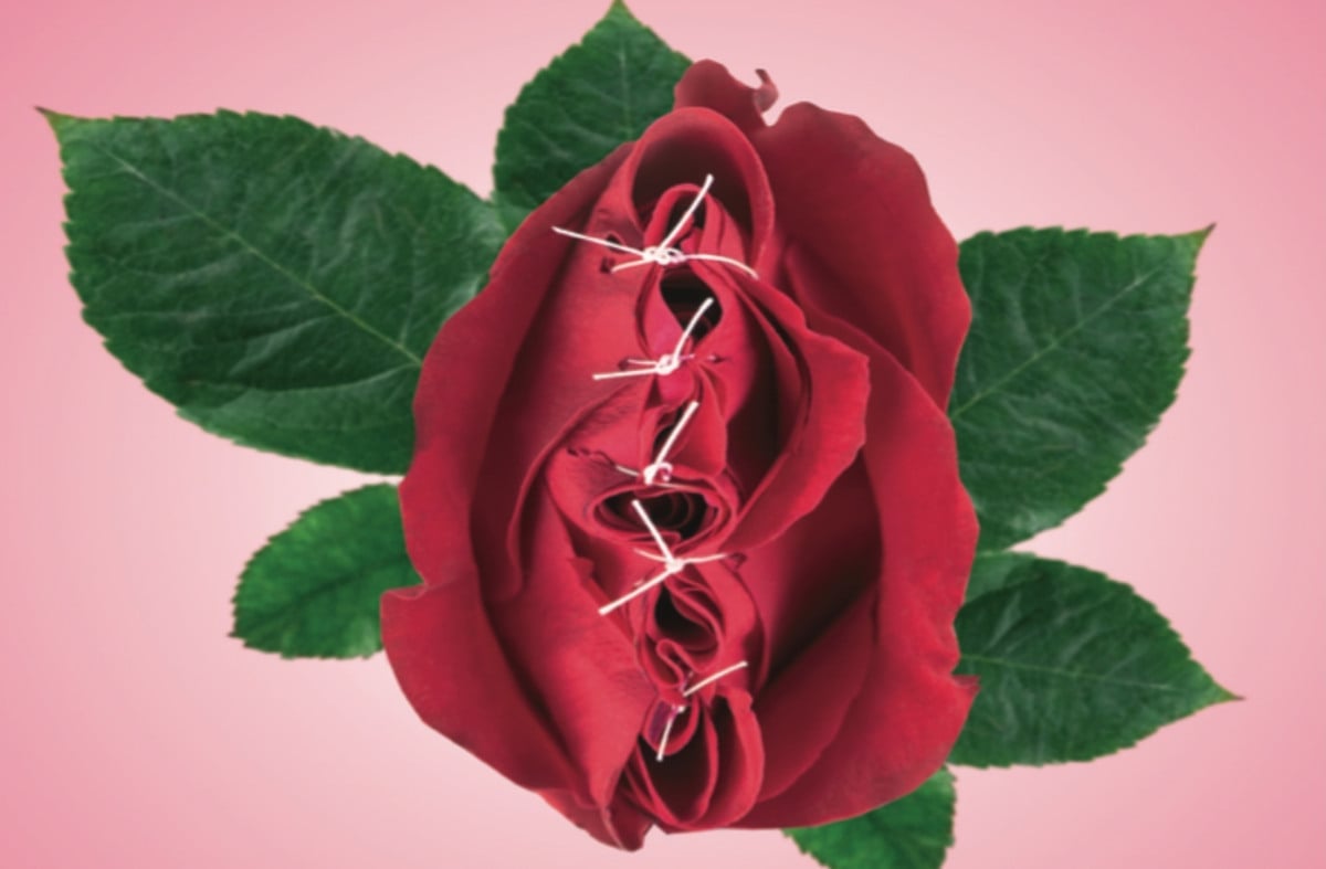 illustration röd ros som är ihopsydd med  vit träd gröna blad, rosa bakgrund