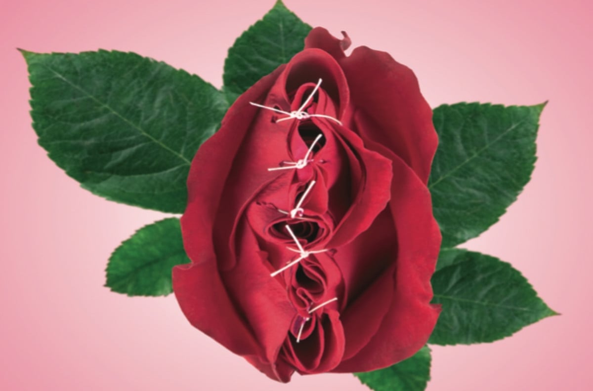 illustration röd ros som är ihopsydd med  vit träd gröna blad, rosa bakgrund