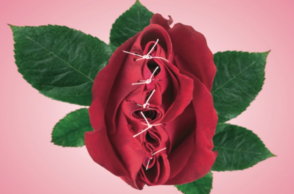 illustration röd ros som är ihopsydd med  vit träd gröna blad, rosa bakgrund