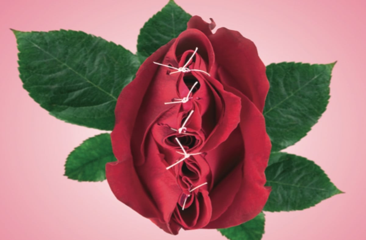 illustration röd ros som är ihopsydd med  vit träd gröna blad, rosa bakgrund