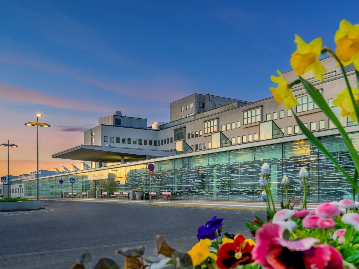 Södersjukhusets entré med påskliljor och andra vårblommor i förgrunden.