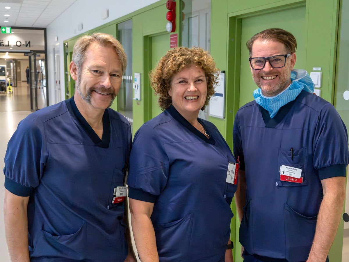 Jonas Malmstedt; Anneli Linné; Fredrik Roos; TOS centrum