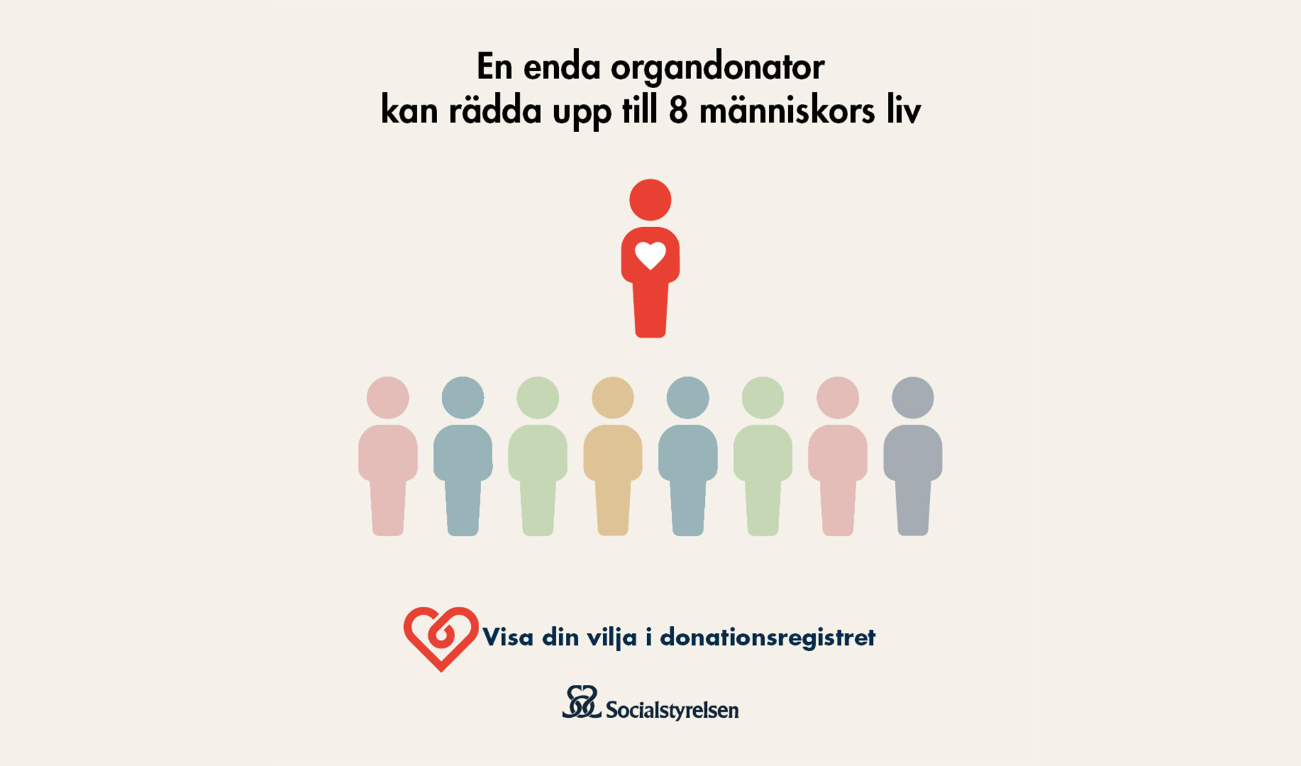 Infografik: En enda organdonator kan rädda upp till åtta människors liv.